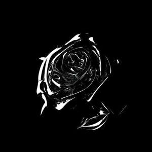 Meet your Posher, Endel